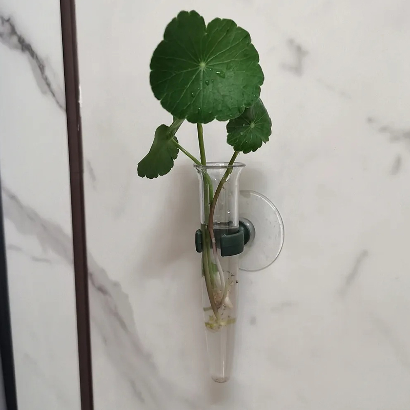 Tubos de Agua Florales de 11 c - Nutrition & Fitness Station reseña y precio